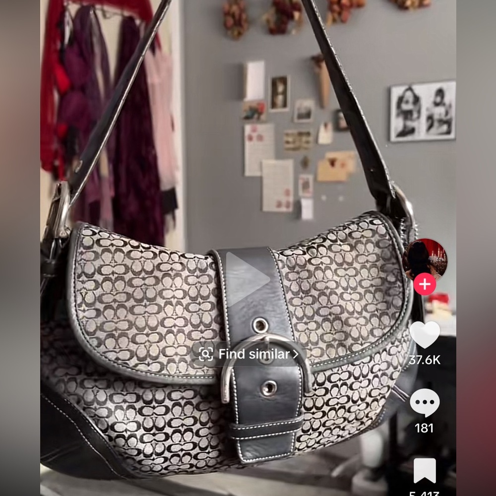 ‼️‼️‼️LOOKING FOR THESE TYPE OF BAGS‼️‼️‼️‼️ - Picture 11 of 14